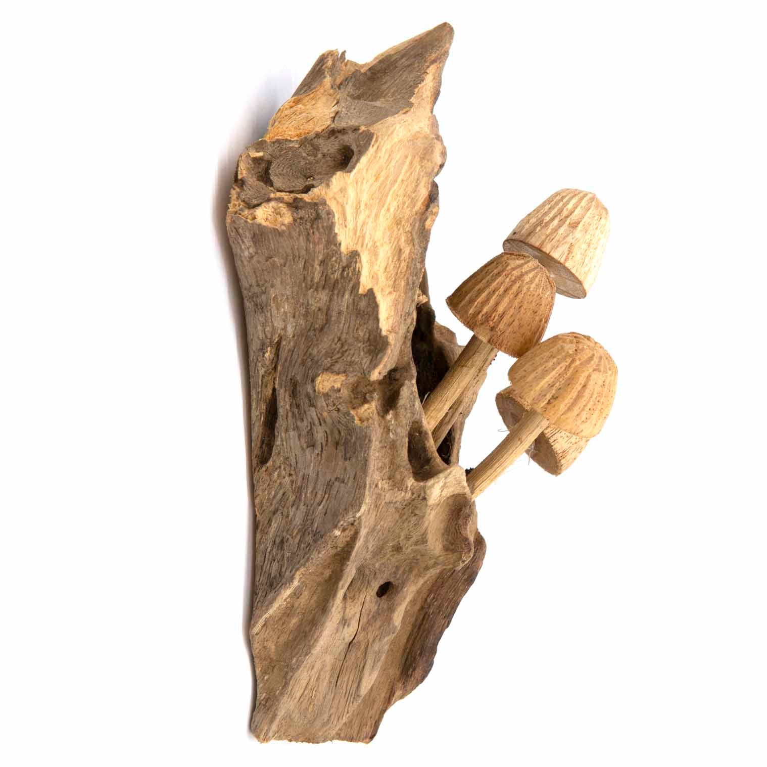 Décoration Murale Champignon Sculpté, Petite