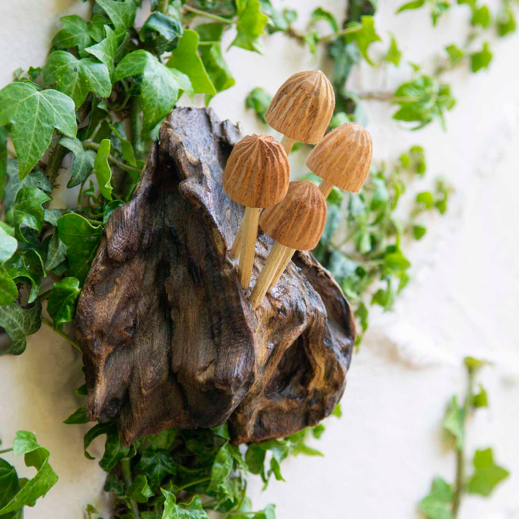 Décoration Murale Champignon Sculpté, Petite
