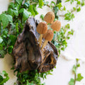 Décoration Murale Champignon Sculpté, Petite