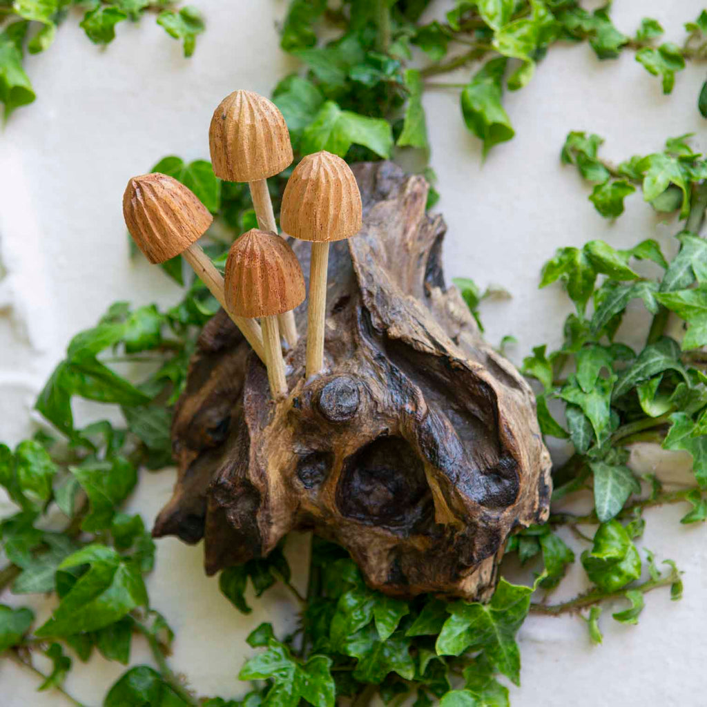 Décoration Murale Champignon Sculpté, Petite