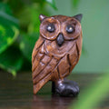 Hibou en bois de pluie sculpté de taille moyenne