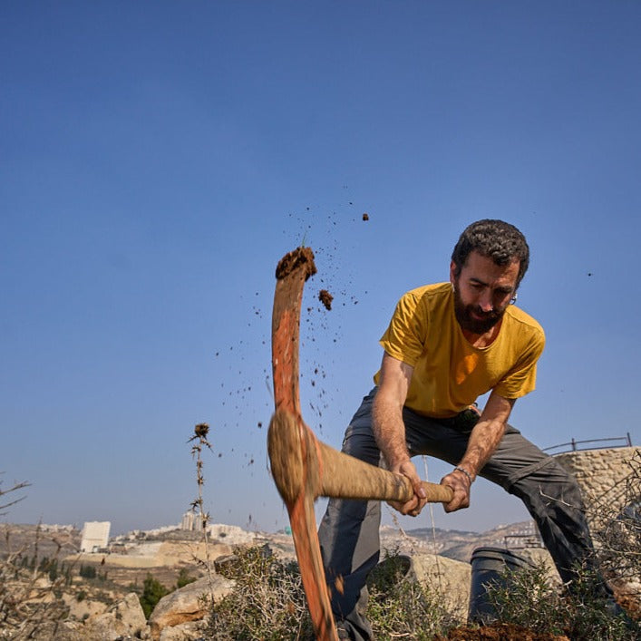 Plant a Tree - Donate to Environmental Conservation