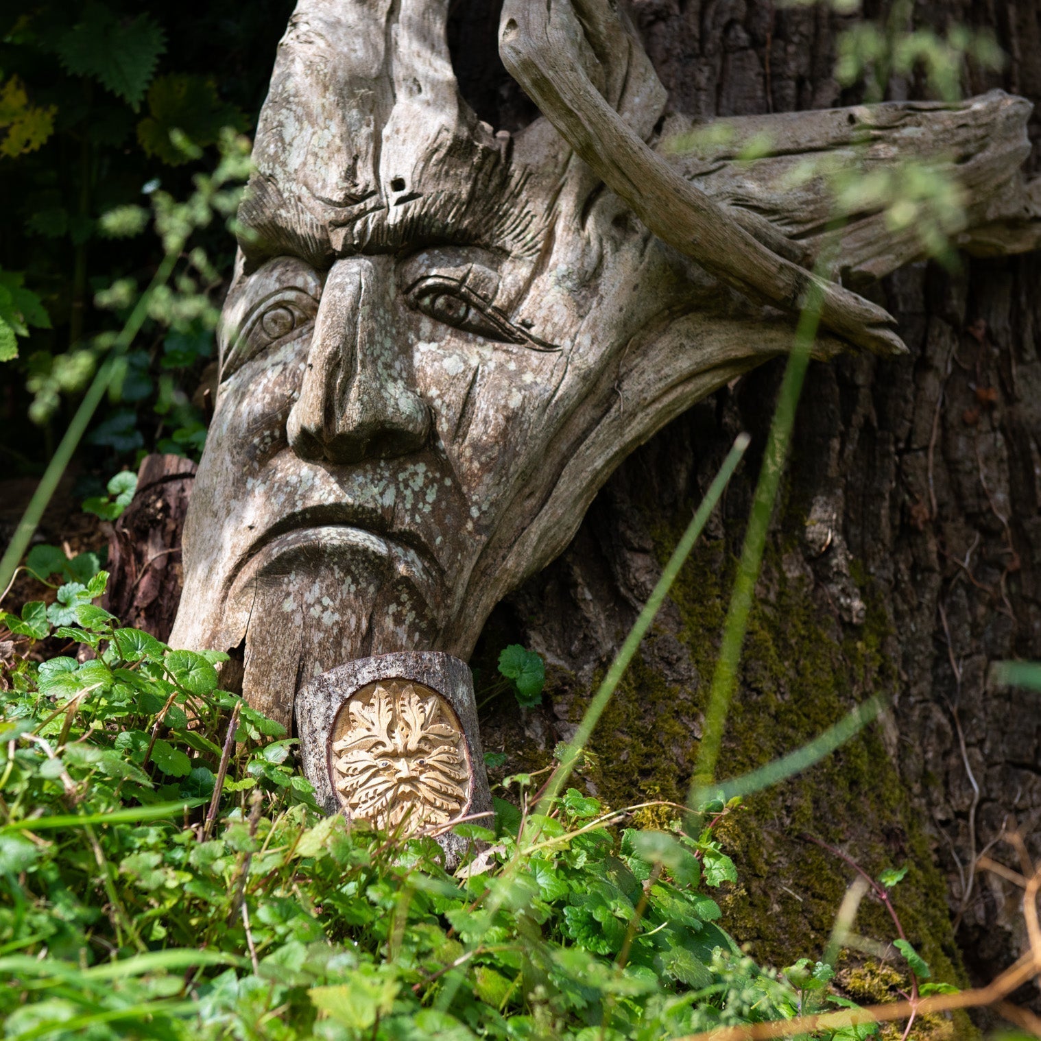 Section de tronc sculptée de l'Homme Vert