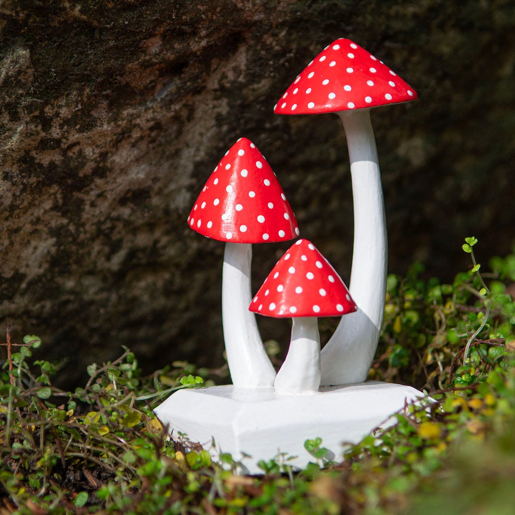 Amanites tue-mouches sculptées en grappe