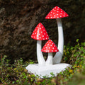 Amanites tue-mouches sculptées en grappe