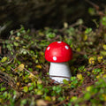 Mini-Amanite tue-mouches sculptée