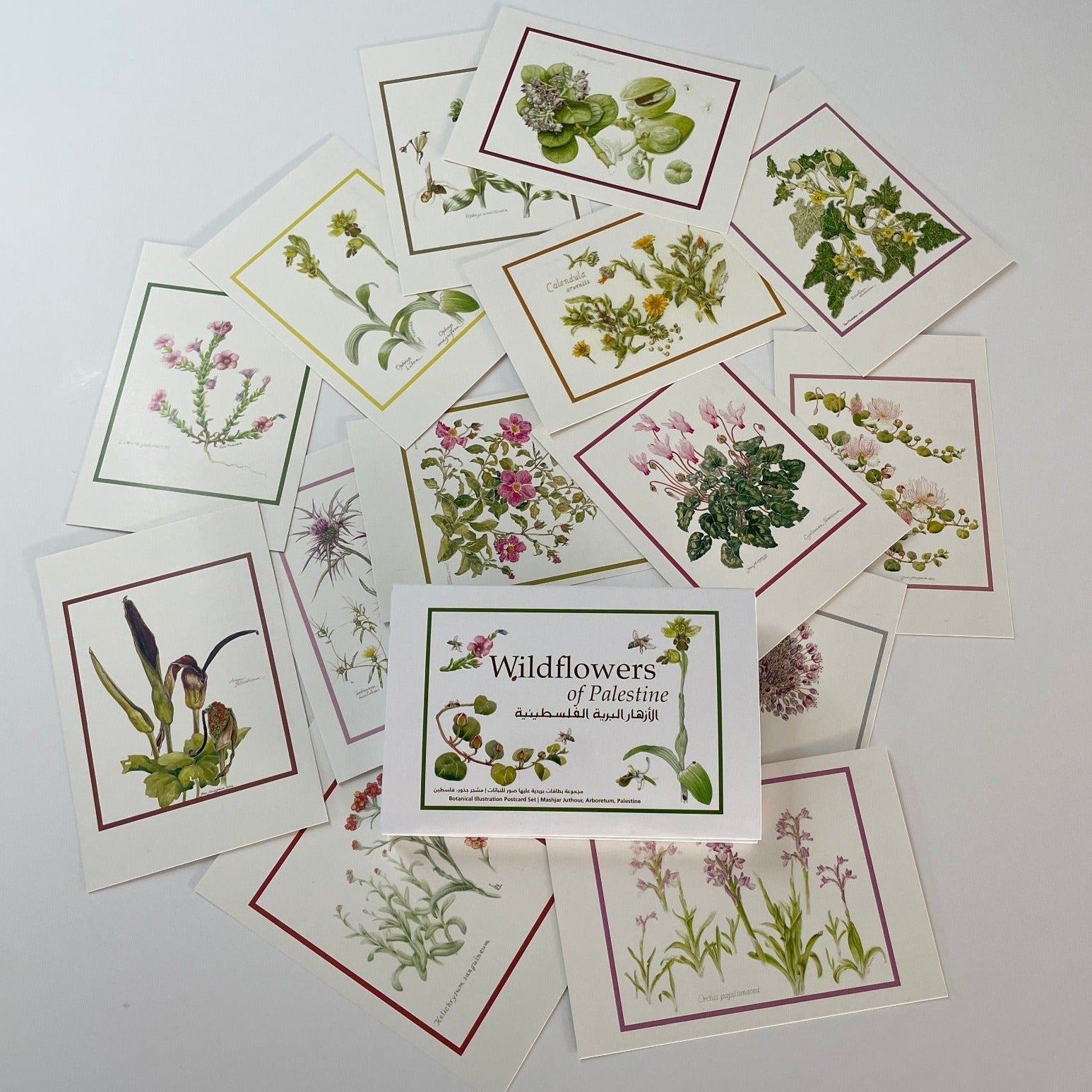 Wildflowers Pack of Postcards | Botanical Art Cards