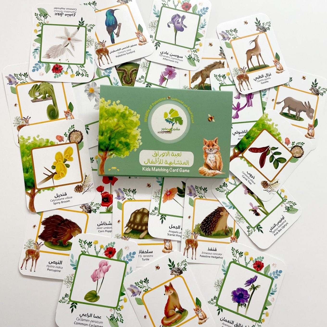 Memory Games: Wildlife Matching Cards for Kids | 30 Cards