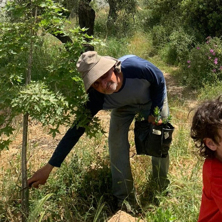 Plant a Tree - Donate to Environmental Conservation